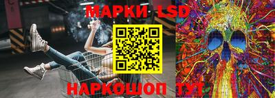 спиды Донской