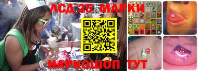 спиды Донской