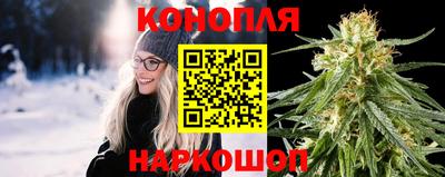 спиды Донской