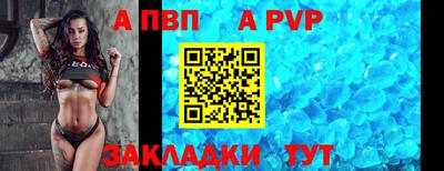 спиды Донской