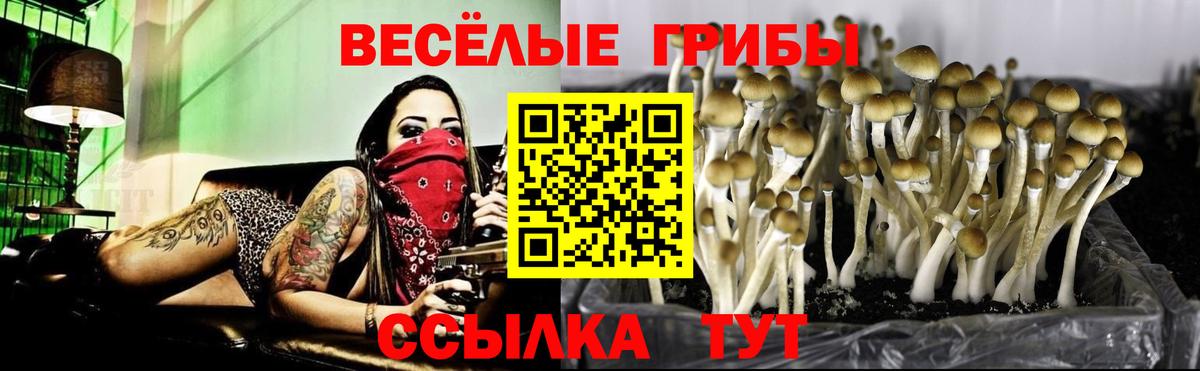 Псилоцибиновые грибы MAGIC MUSHROOMS  Псилоцибиновые грибы Cubensis  Вход с VPN  Мелеуз 